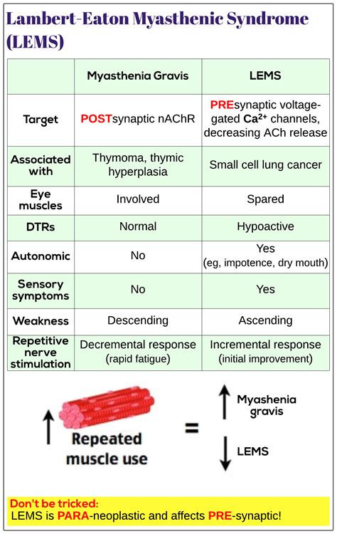 Lambert-Eaton Myasthenic Syndrome (LEMS) - Medicine Keys for MRCPs