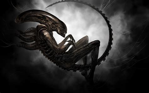 Cool Xenomorph Wallpapers - Top Free Cool Xenomorph Backgrounds - WallpaperAccess