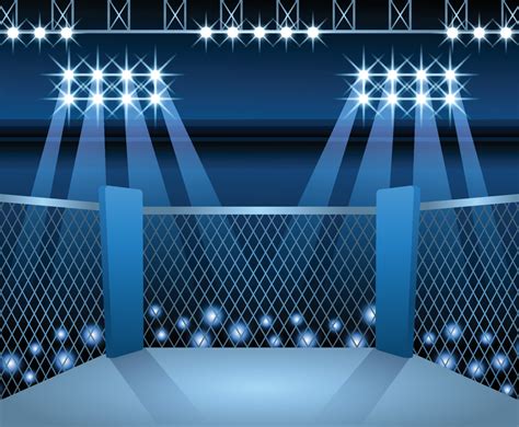 MMA Stage Background | FreeVectors