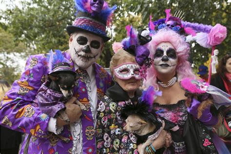 New York park goes to the dogs for 25th Halloween dog parade - The Blade