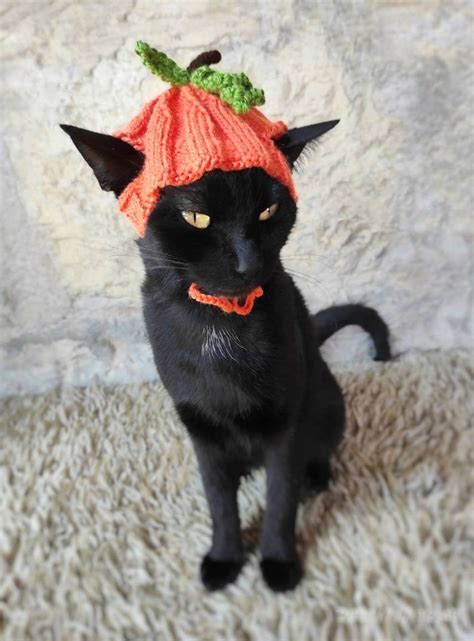 Pumpkin Hat for Cat Pumpkin Pet Costume Halloween Costume | Etsy