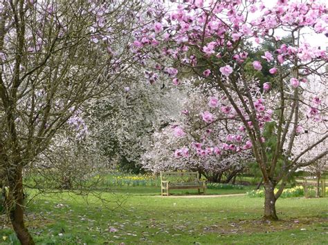 Batsford Arboretum | Experience Oxfordshire