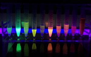 Atomic Fluorescence Spectrometry Applications