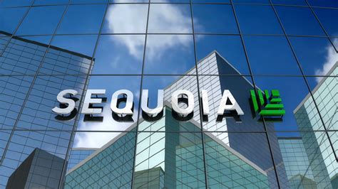 Sequoia Terminates 7 Employees, Slashes Crypto Fund By 66% To $200 ...