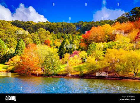 Colorful Australian autumn in Mount Lofty, Adelaide Hills, South Australia Stock Photo - Alamy