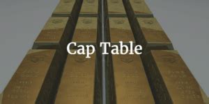 Simple Cap Table Template | eFinancialModels