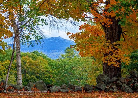 Getting it Right in the Digital Camera : The Fall Foliage Art Studio Tour