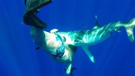 Oceanic Whitetip Shark Bites Diver - YouTube