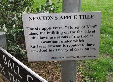 Newton's Apple Trees