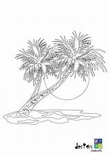 Coloring Pages Of Palm Trees sketch template