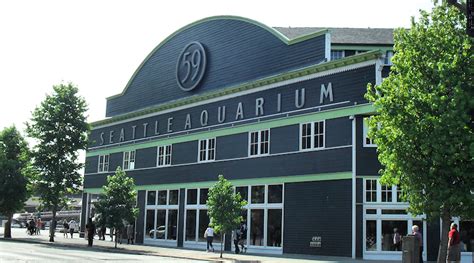 Seattle Aquarium – Seattle and Sound