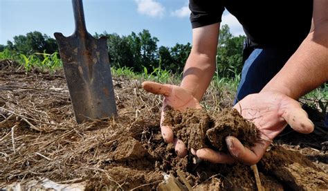 La contaminación del suelo y sus efectos en el medio ambiente