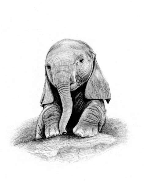 Drawing:How To Draw A Baby Elephant Easy Step By Step With How To Make A Baby Elephant Cake ...