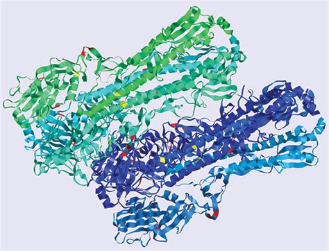 Figure - Reassortment of Ancient Neuraminidase and Recent Hemagglutinin in Pandemic (H1N1) 2009 ...