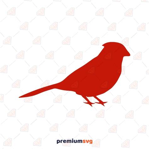 Red Cardinal SVG, Red Cardinal Vector Clipart File | PremiumSVG