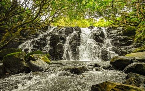 The Most Beautiful Waterfalls in Mauritius | Nature Views