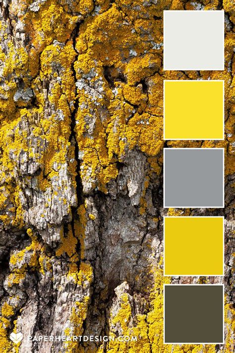 the color scheme is yellow and gray, with different shades of grey in each section