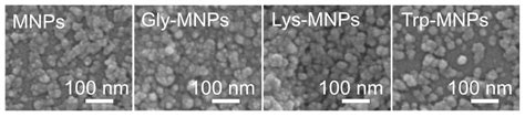 Nanomaterials | Free Full-Text | MRI Relaxivity Changes of the Magnetic ...