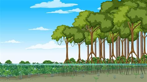 Mangrove Cartoon