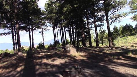 Single Tree Campground - Located on Boulder Mountain Utah Highway 12. - YouTube