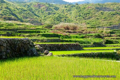 28 A closer look at the Rice Terraces to Bomok Od Falls - Banaue, Sagada, Baguio Tour - Happy ...