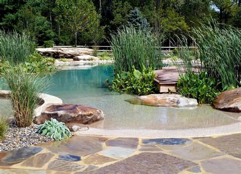 Natural Swimming Pools Work Best in Warm Climates ...