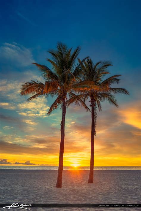 Two Coconut Palm Tree Sunrise at Beach | Palm trees beach, Beautiful landscapes, Beautiful beaches