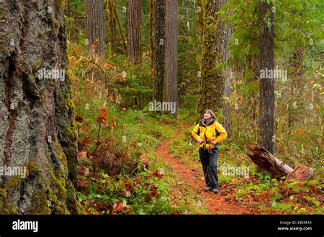 North Umpqua River National Recreation Trail Rogue-Umpqua National ...