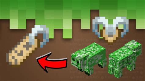 5 Fact about Nametag [ Minecraft EASTER EGG ] - YouTube