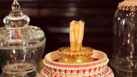 Relic of the tooth of the Buddha - Alchetron, the free social encyclopedia