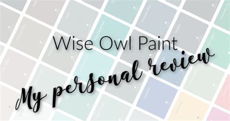 Wise Owl Paint Colors and My Review • That Sweet Tea Life