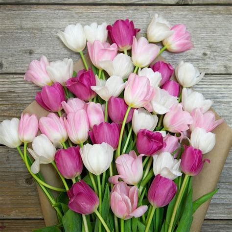 The Bouquet of Tulips - LetterPile