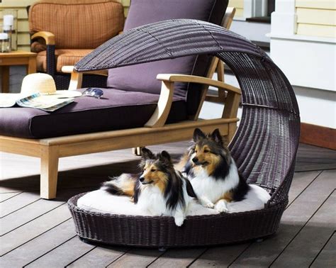 Unique Dog Bed | Unique doggy beds | Pinterest