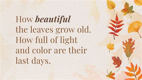 Autumn quote blog banner template | Free Photo - rawpixel