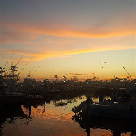 Boathouse Oyster Bar in Destin, FL | Restaurant Review with Photos