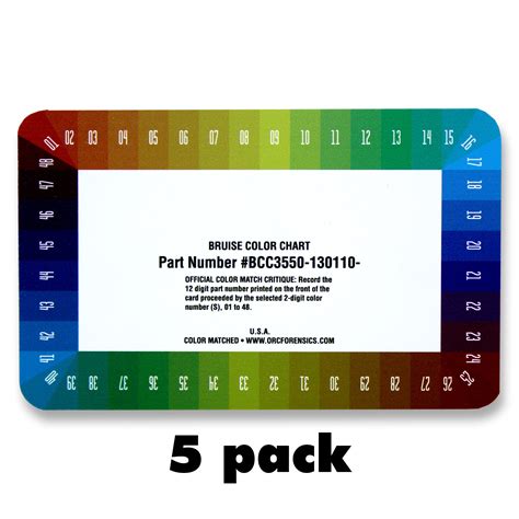 Large Bruise Color Charts – Dark Skin Tone – 5 Pack – Oregon Rule Co.