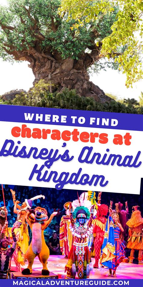 Animal Kingdom Characters: Who to Find Where