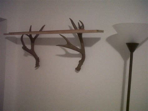 Deer Antler Crafts Ideas, Antler Projects, Deer Antler Decor, Antler Art, Home Projects, Diy ...