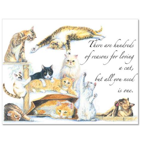 S74 Fixed-Message Cat Sympathy Card - Veterinary Wisdom