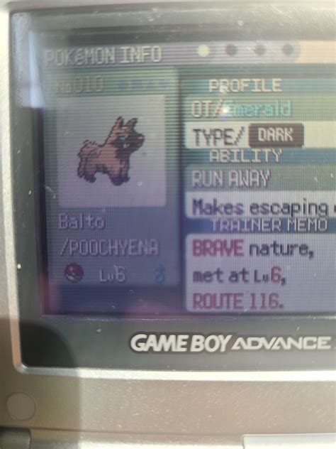 first ever shiny in my legit emerald copy! (do not mind the dirty ...