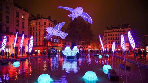 In pictures: Lyon's Festival of Lights | World News | Sky News