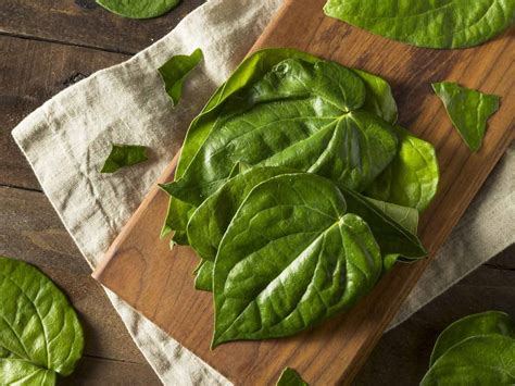 6 Amazing Benefits of Betel Leaves you Never Knew