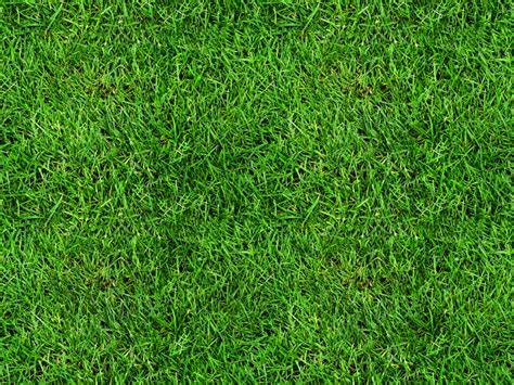 Seamless Grass Texture Free (Nature-Grass-And-Foliage) | Textures for Photoshop