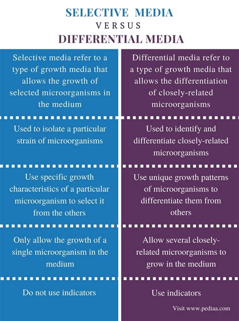 Difference Between Selective and Differential Media | Definition, Role ...