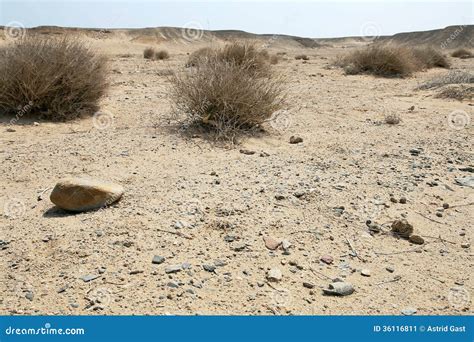 The dry desert stock image. Image of loneliness, level - 36116811