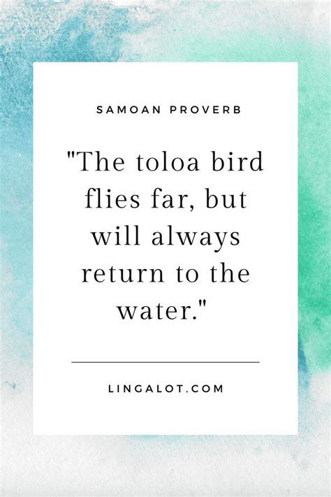 46 Samoan Quotes, Proverbs & Sayings + Their Meanings | Samoan quotes ...