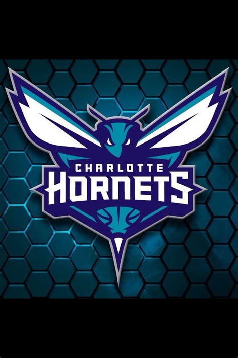 Hornets new logo | Charlotte hornets, Charlotte hornets logo, Hornet