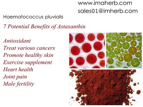 What is Astaxanthin? Benefits, Sources, How does it work?