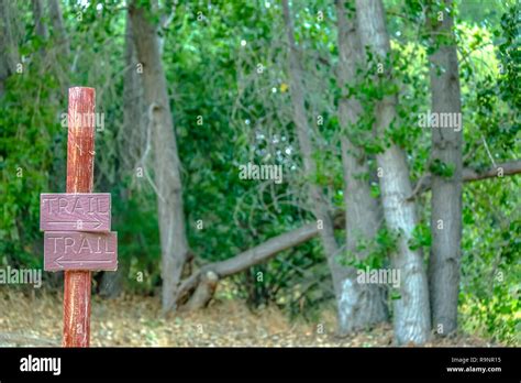 Hiking trail signs in the wilderness of Provo Utah Stock Photo - Alamy