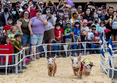 San Mateo County Fair returns June 3